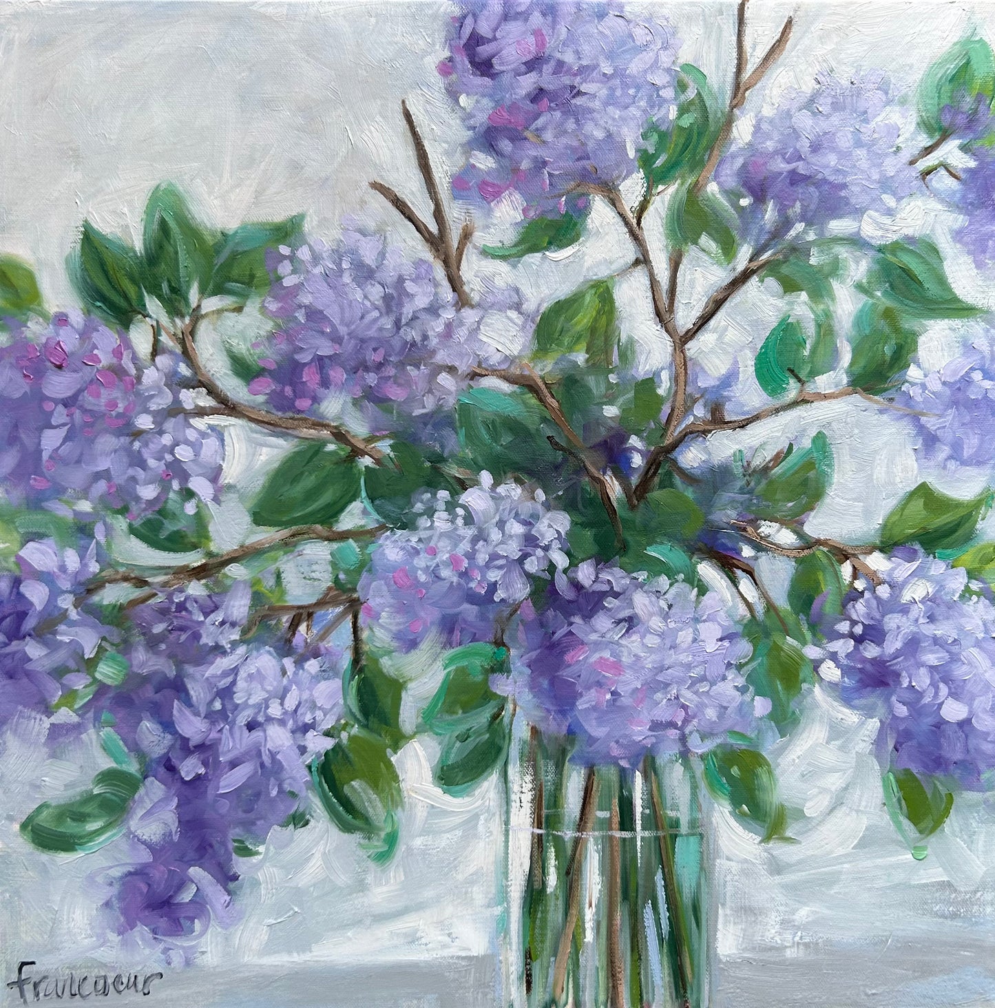 🔴 Les Lilas de mon jardin