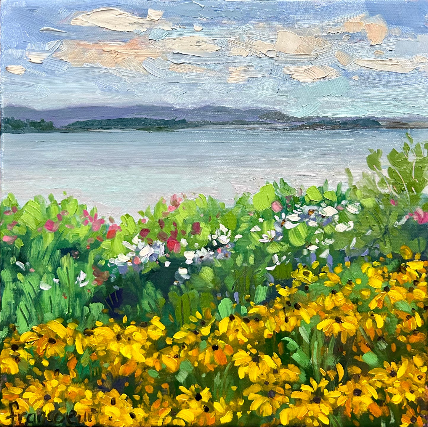 🔴 Vue du fleuve à Kamouraska