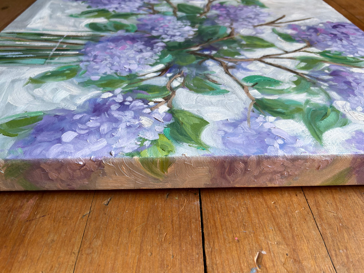🔴 Les Lilas de mon jardin