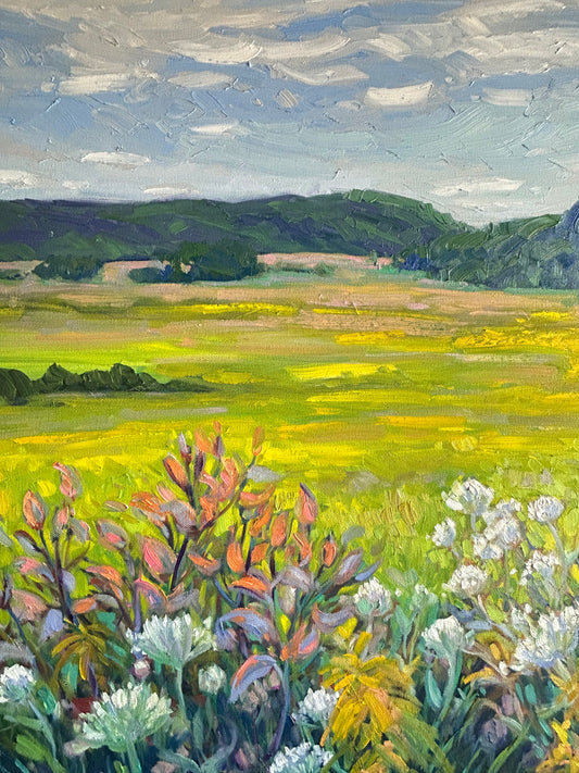 Champs d’automne à Ripon