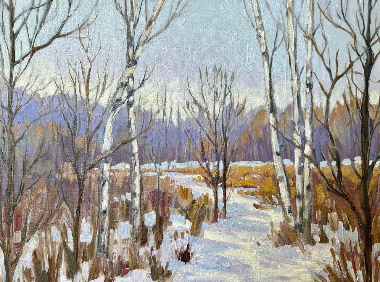 Mer Bleue enneigée, Ottawa