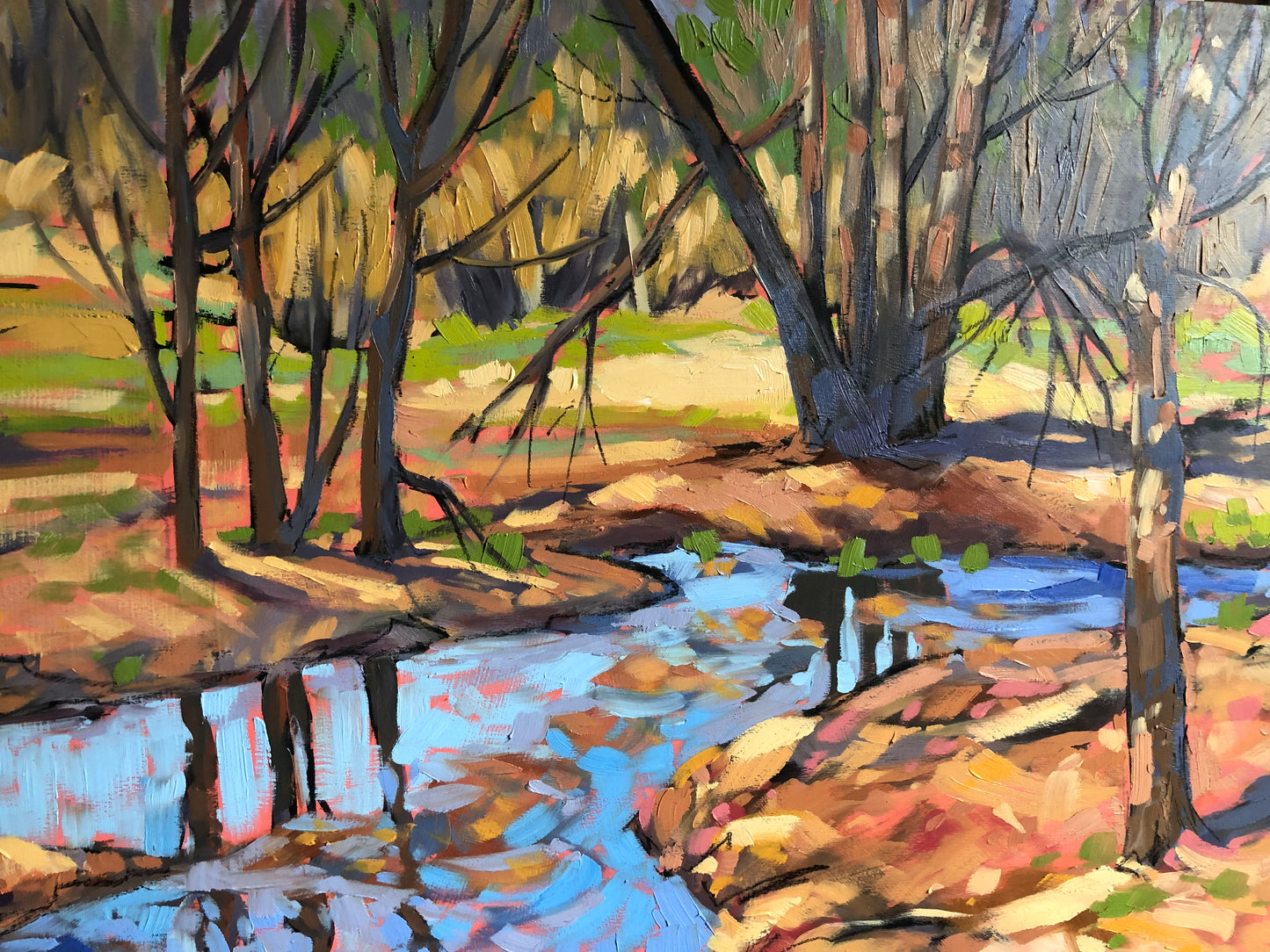 Printemps tardif, sentier des loups , Parc de la Gatineau/ non disponible