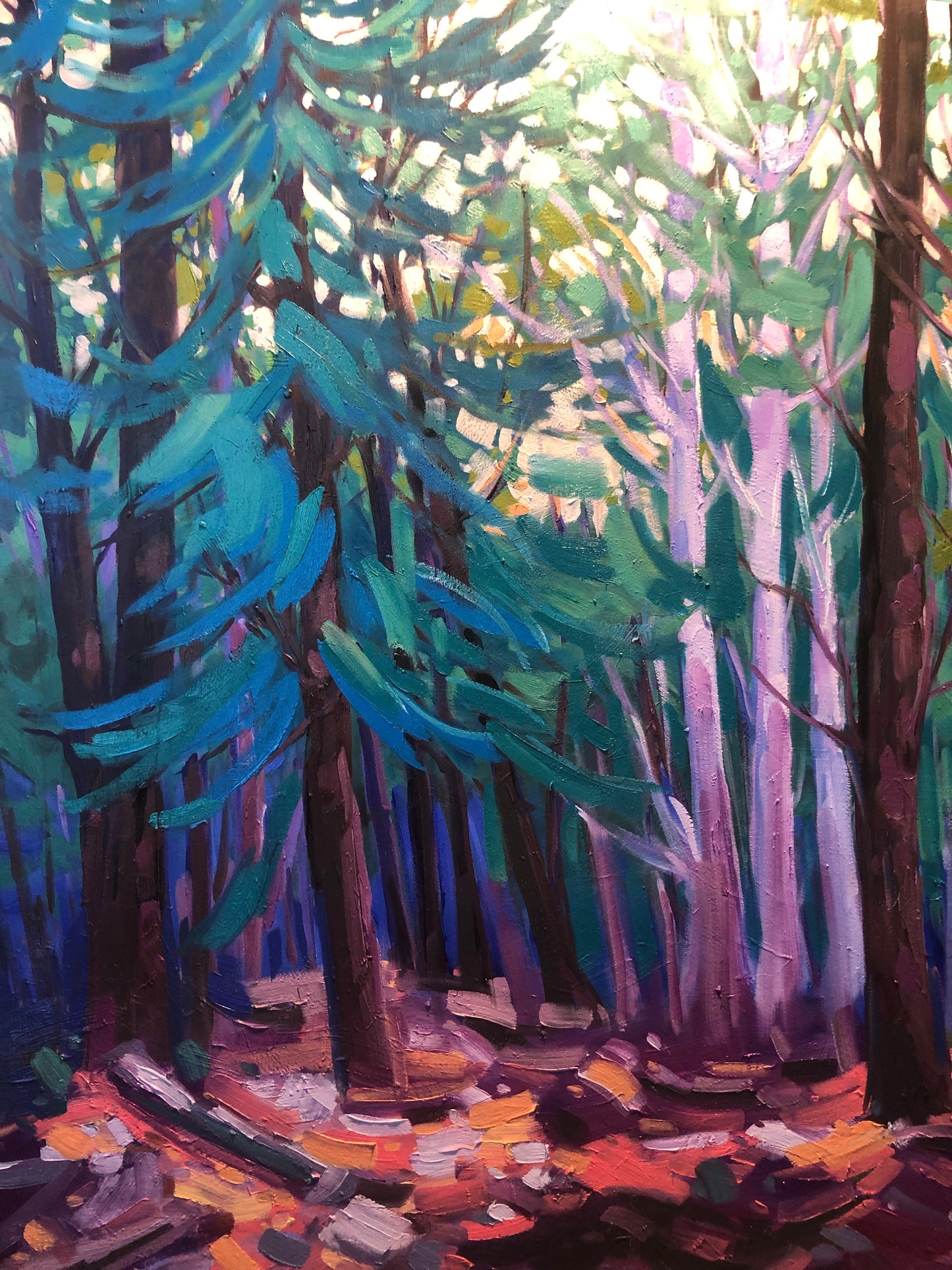 🔴 Sentier Skyline, Parc de la Gatineau » Vendu