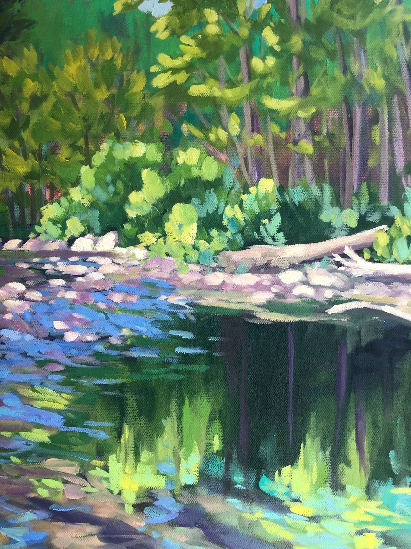Rivière Petite-Vallée, Gaspésie