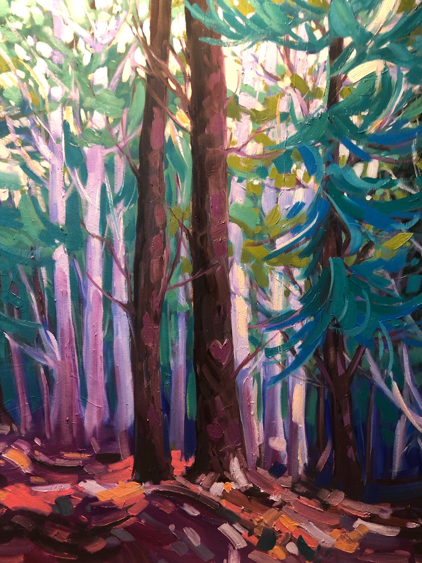 🔴 Sentier Skyline, Parc de la Gatineau » Vendu