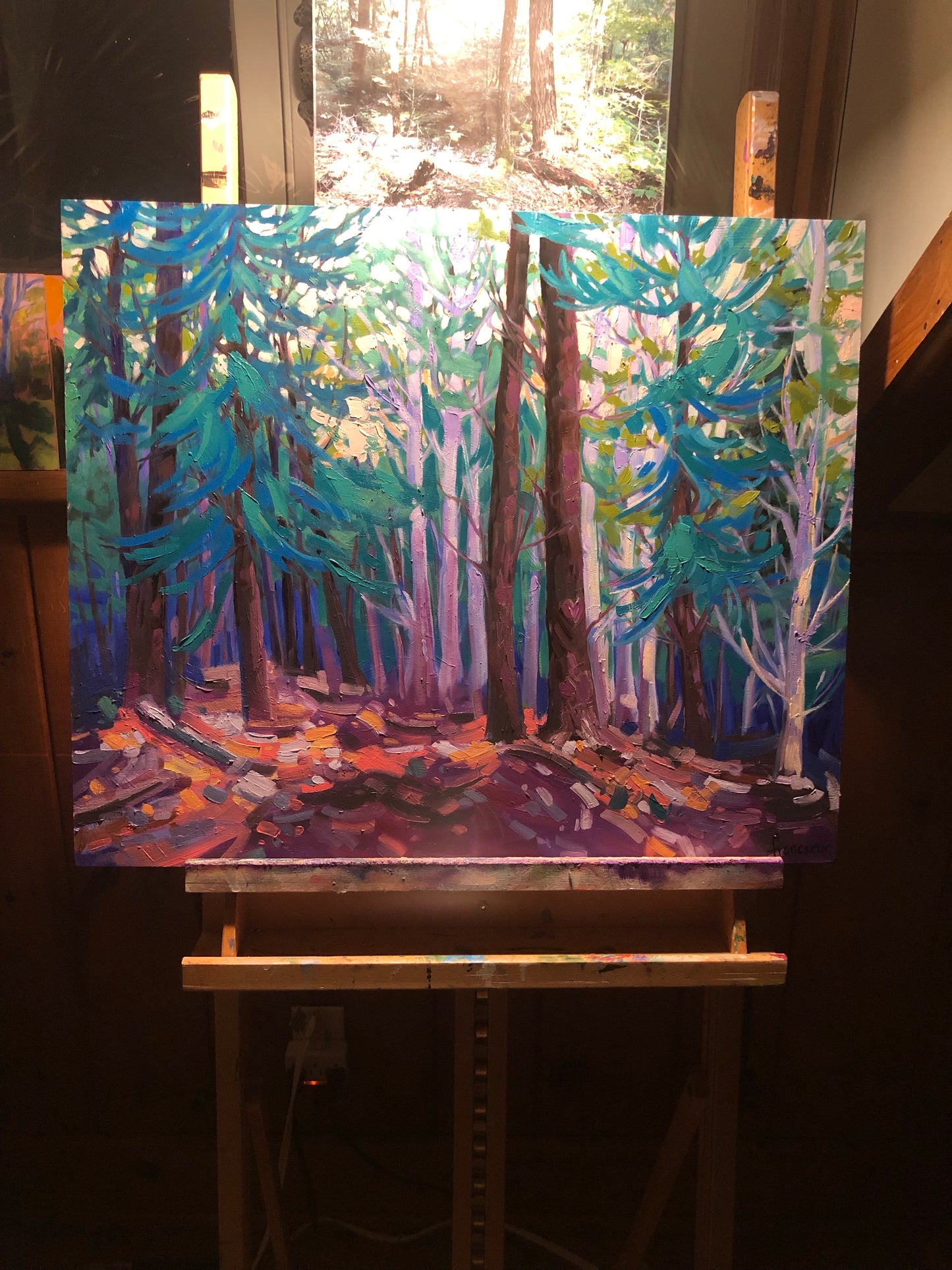 🔴 Sentier Skyline, Parc de la Gatineau » Vendu