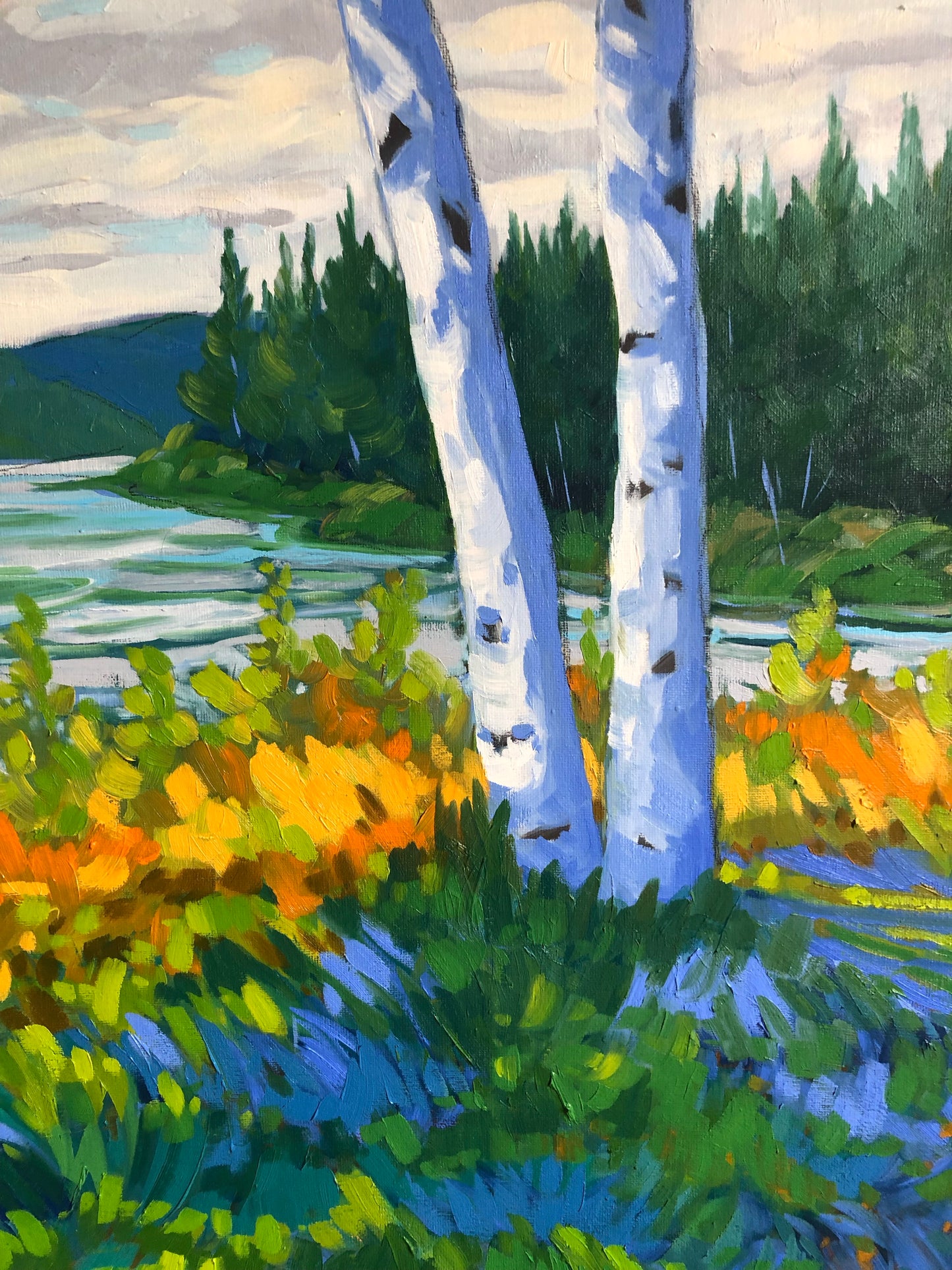 Bouleaux sur la Rivière Coulonge, Qc