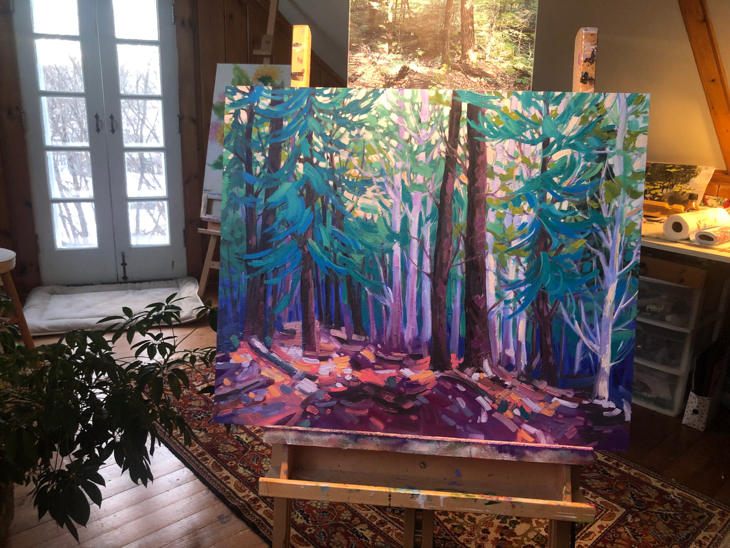 🔴 Sentier Skyline, Parc de la Gatineau » Vendu