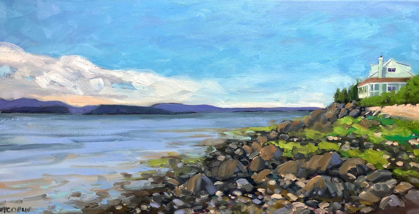 Kamouraska à marée basse🔴