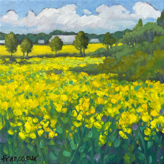 Champs de canola à Saint-André-de-Kamourasks