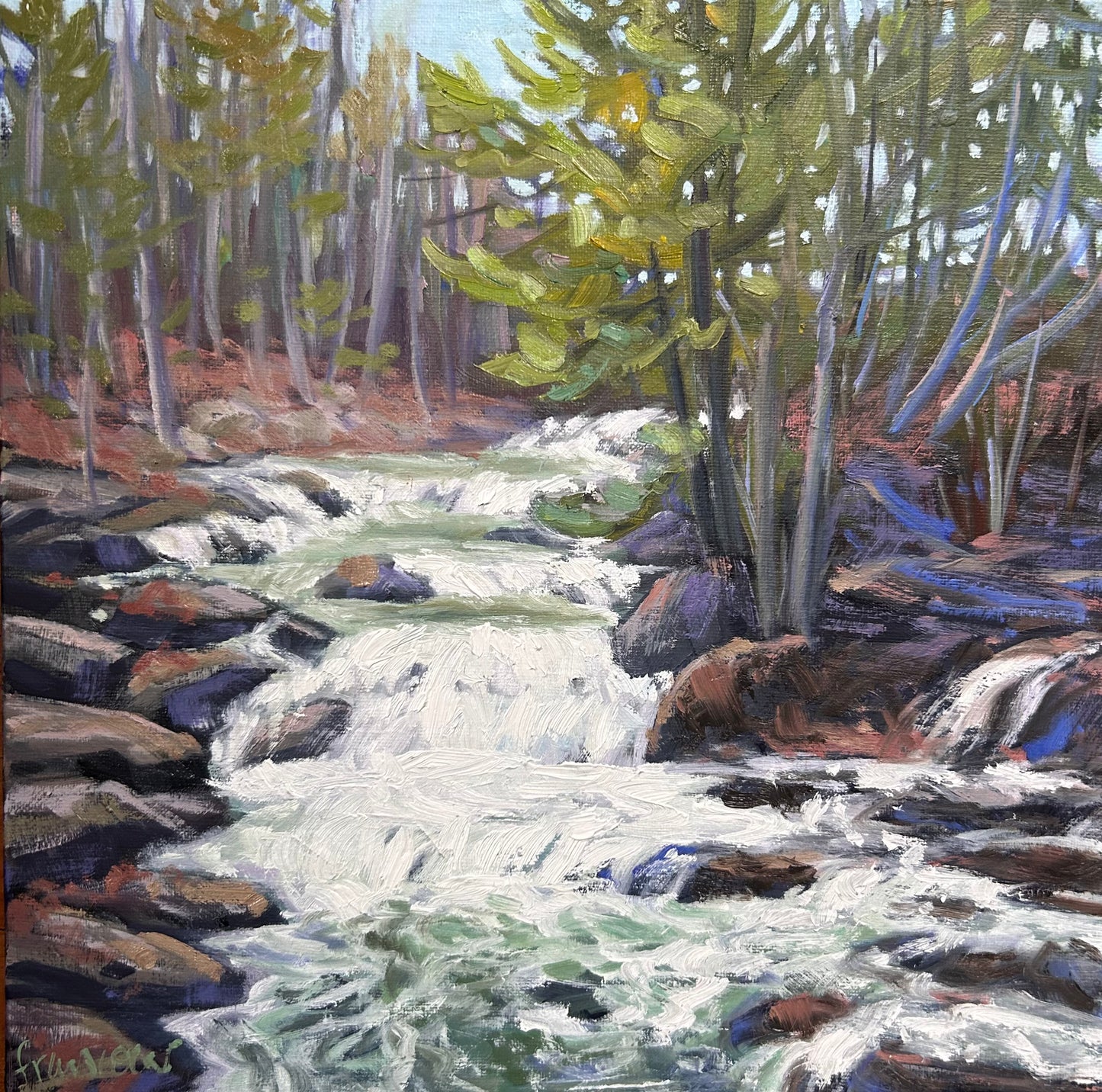 Chutes de la rivière Meech