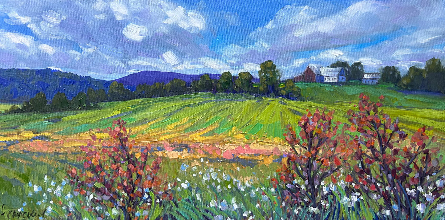 Ripon, Chemin Dupont