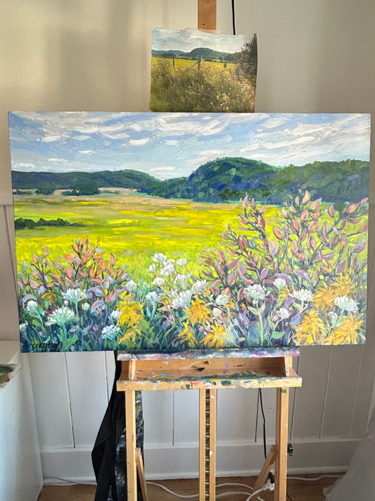 Champs d’automne à Ripon