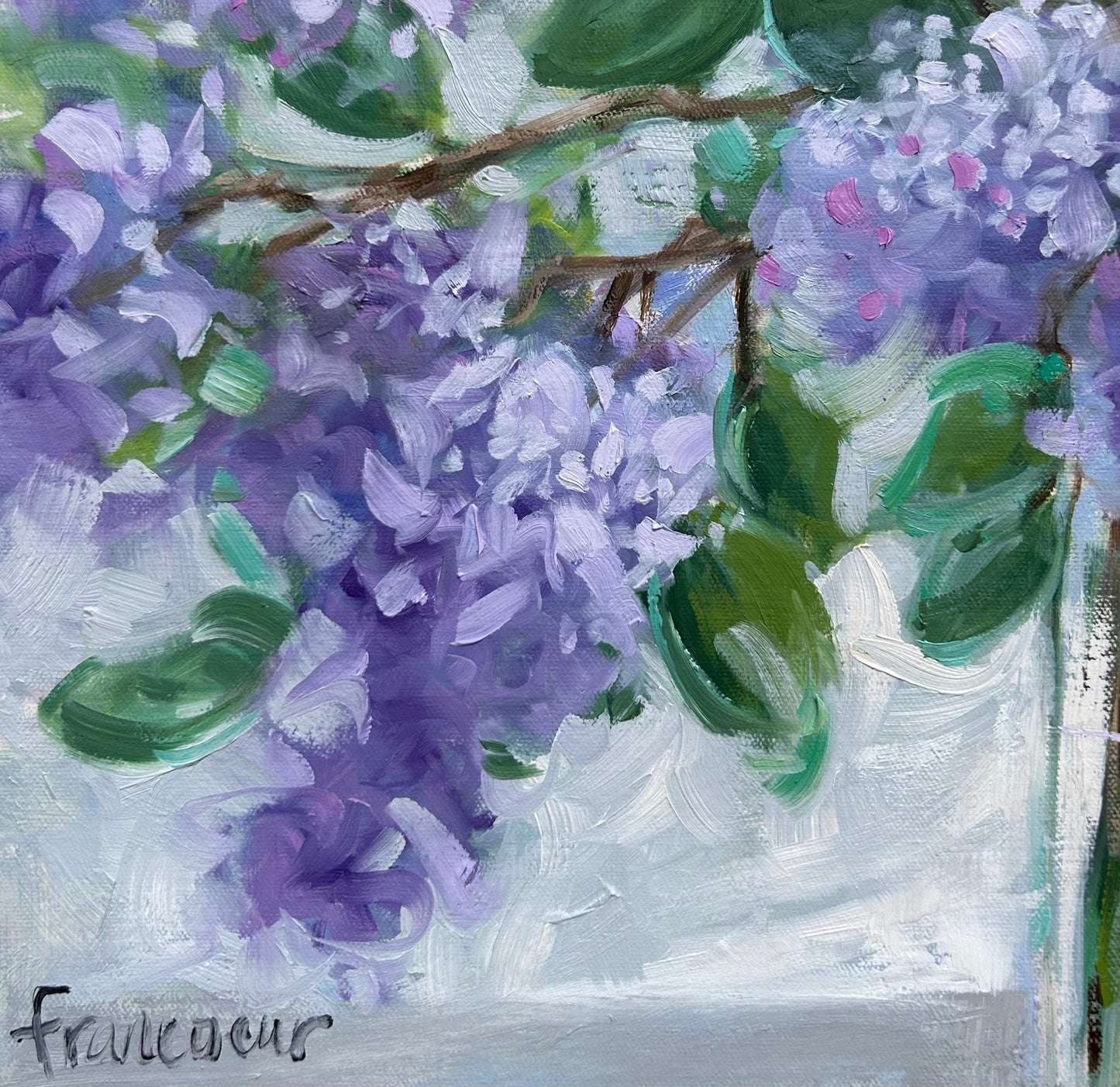 🔴 Les Lilas de mon jardin