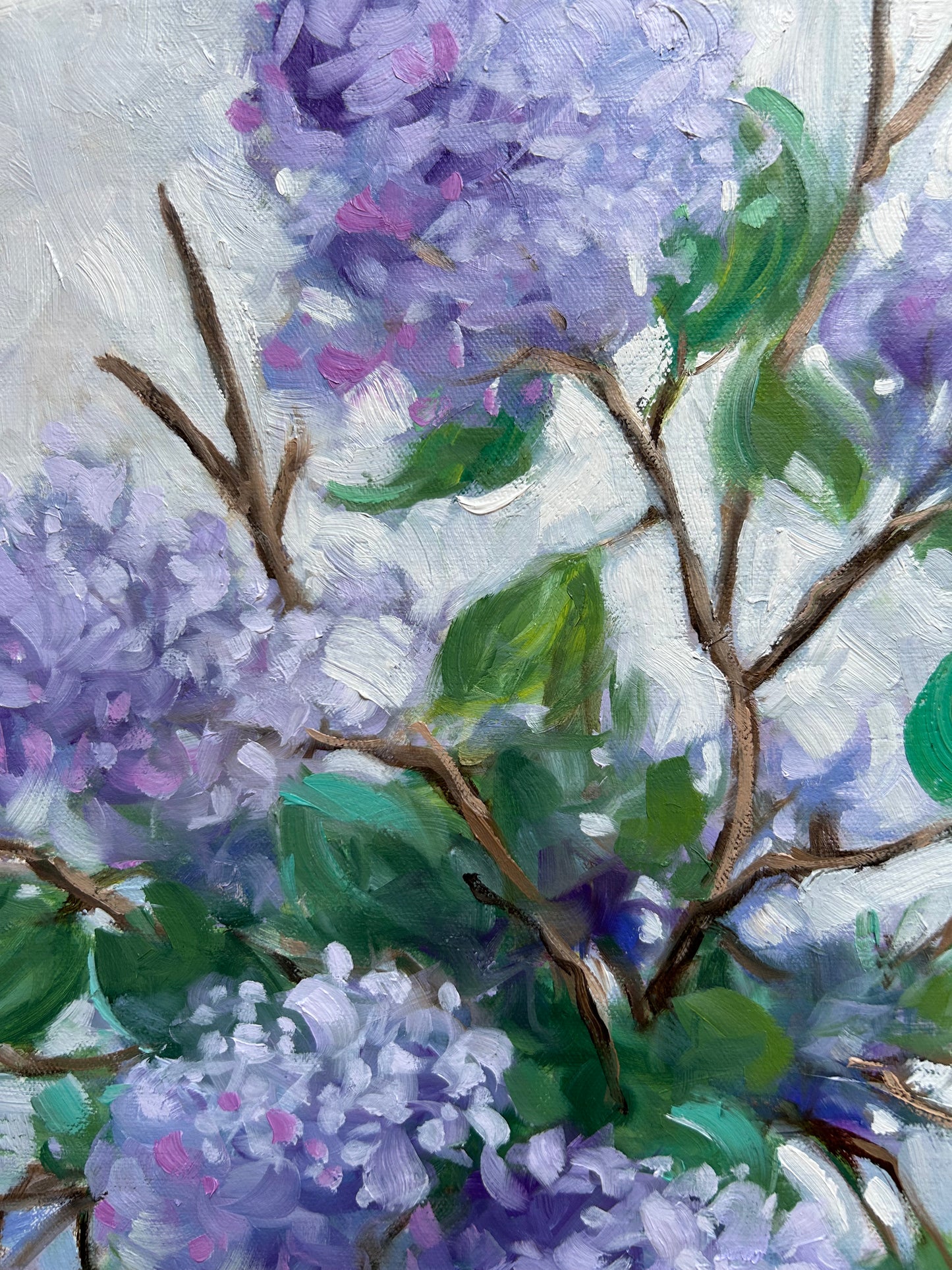 🔴 Les Lilas de mon jardin