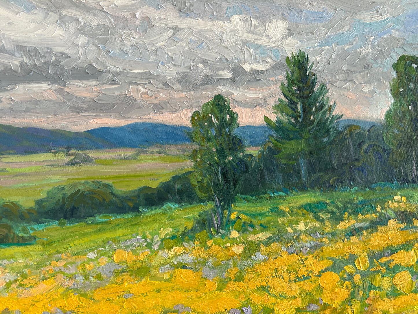 Champs d’automne à Saint-Sixte