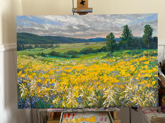 Champs d’automne à Saint-Sixte