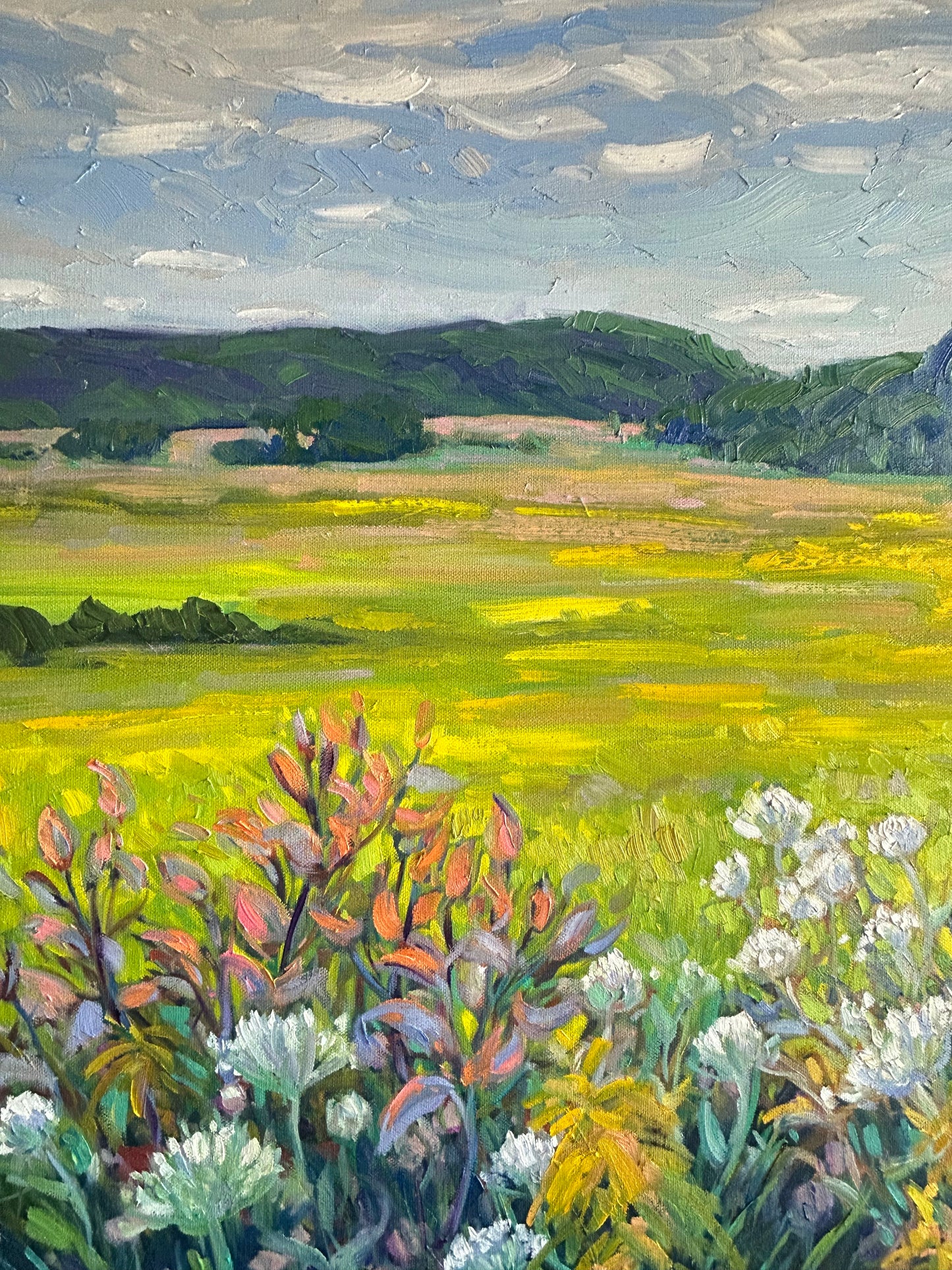 Champs d’automne à Ripon