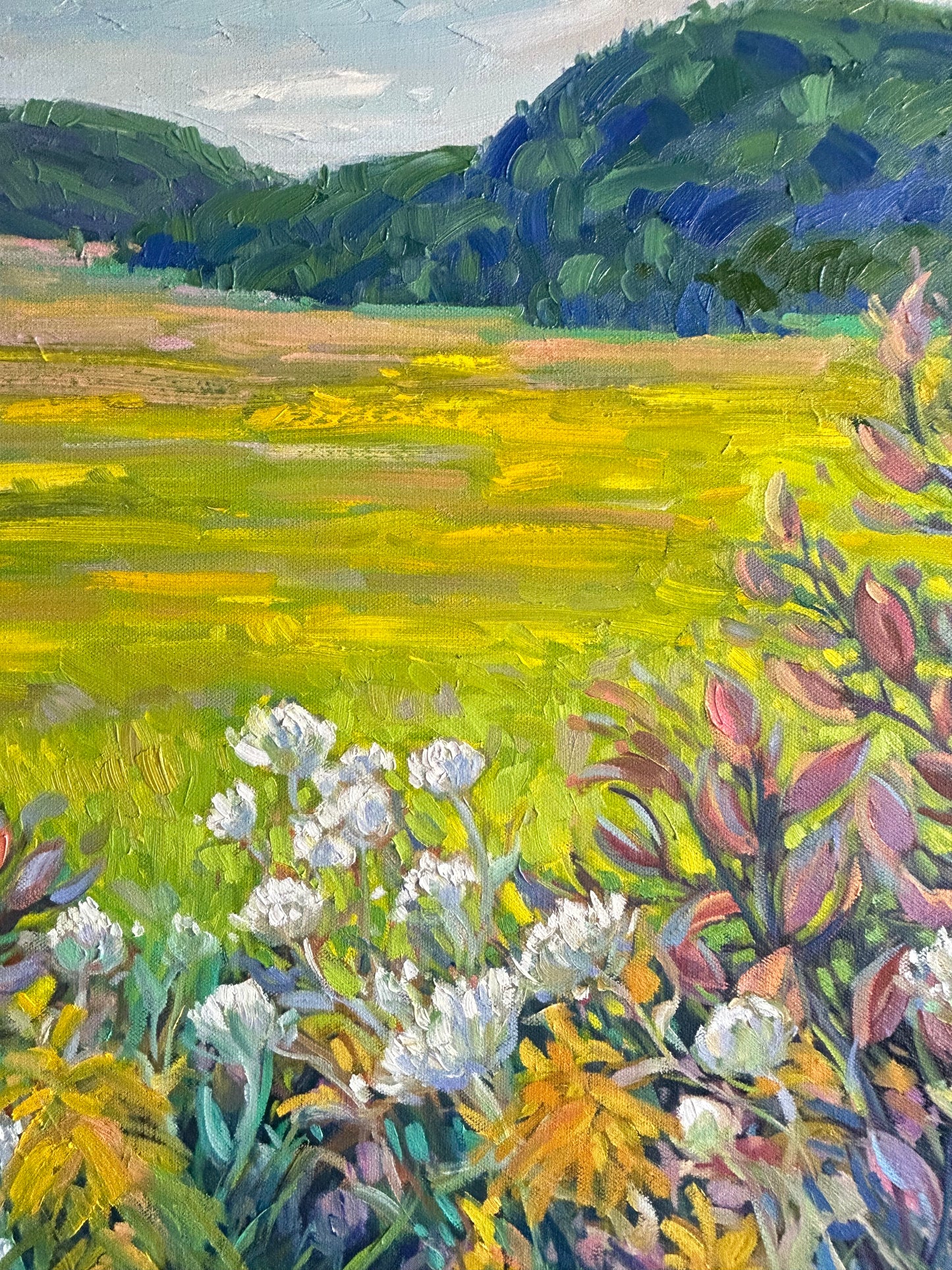 Champs d’automne à Ripon