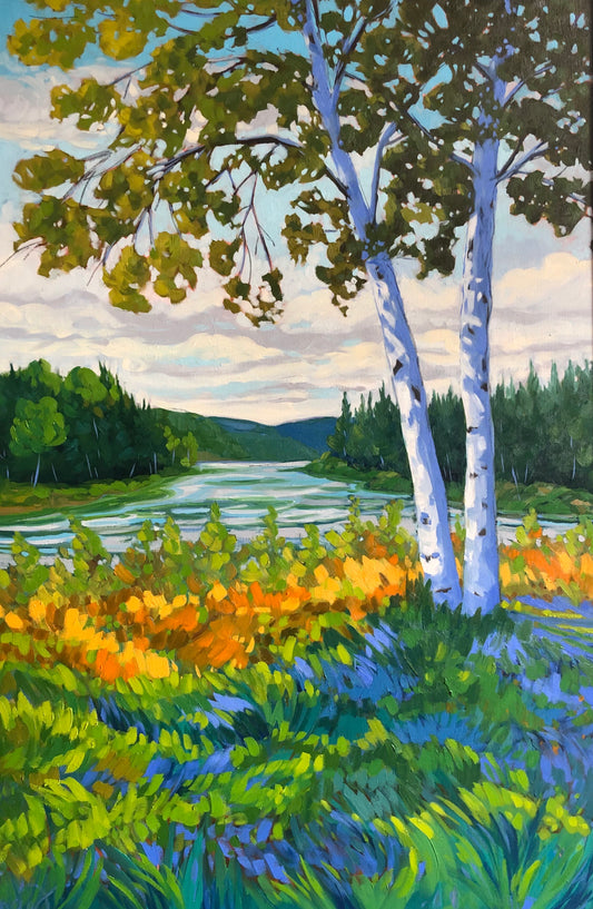 Bouleaux sur la Rivière Coulonge, Qc