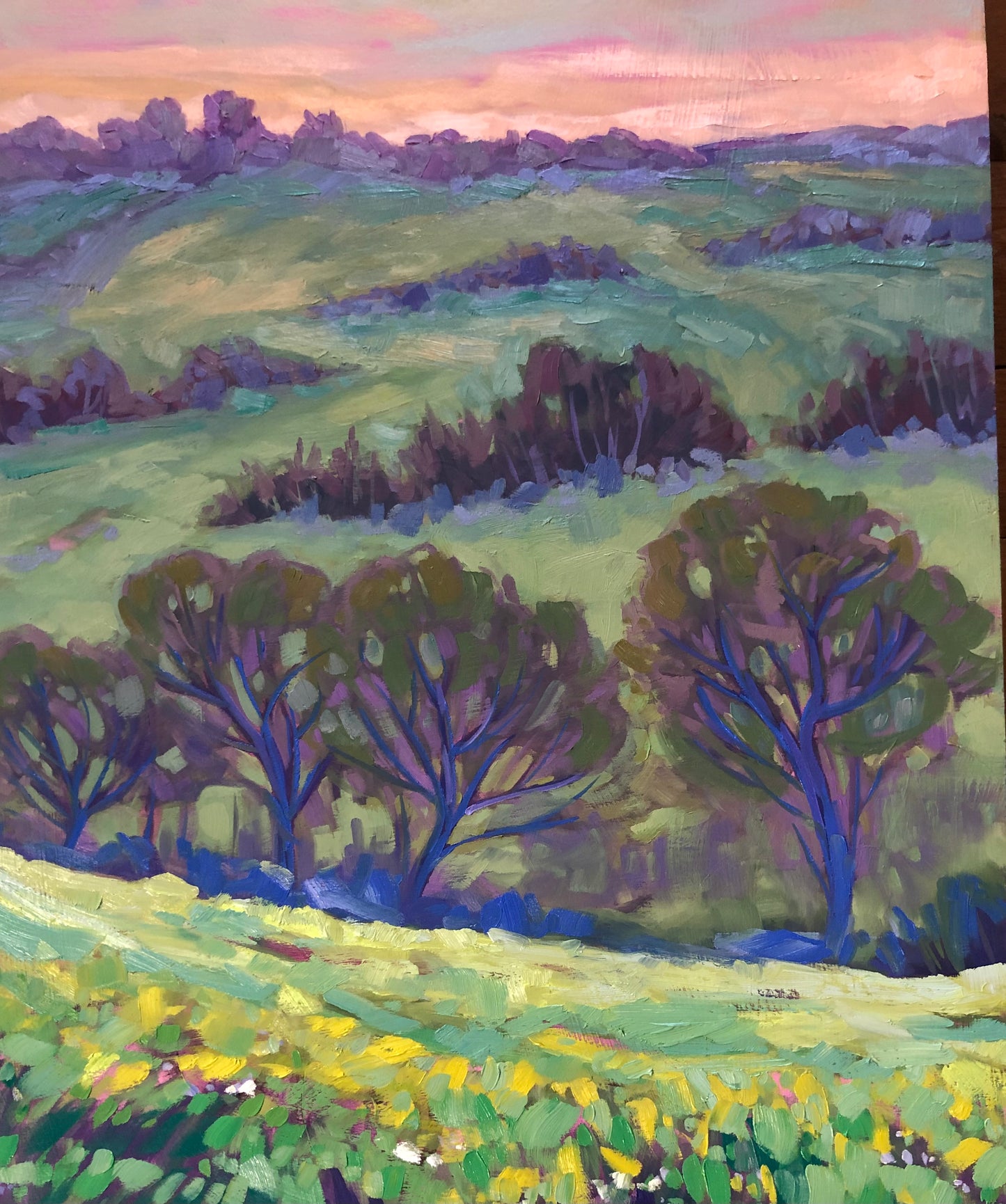 Matin d’été dans la Vallée de la Lièvre 