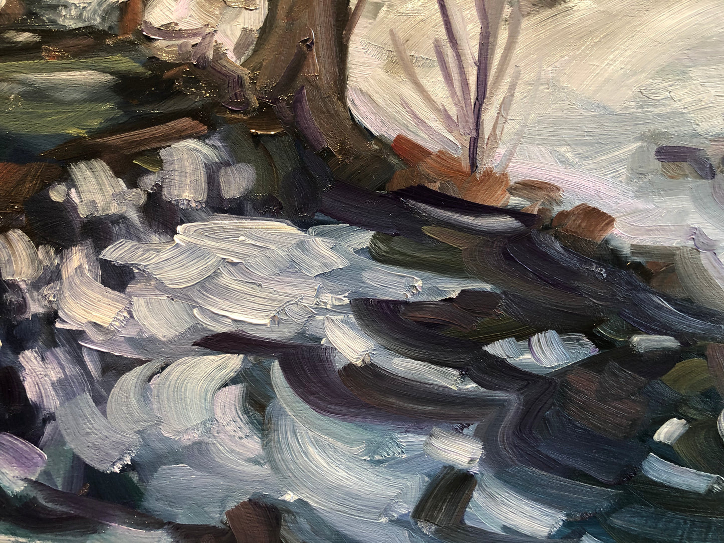 Printemps tardif, parc de la Gatineau #2
