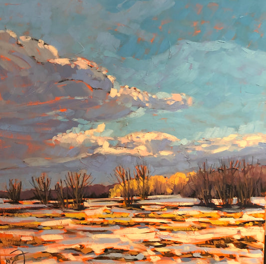 First snow, Prescott-Russel, ON -SOLD