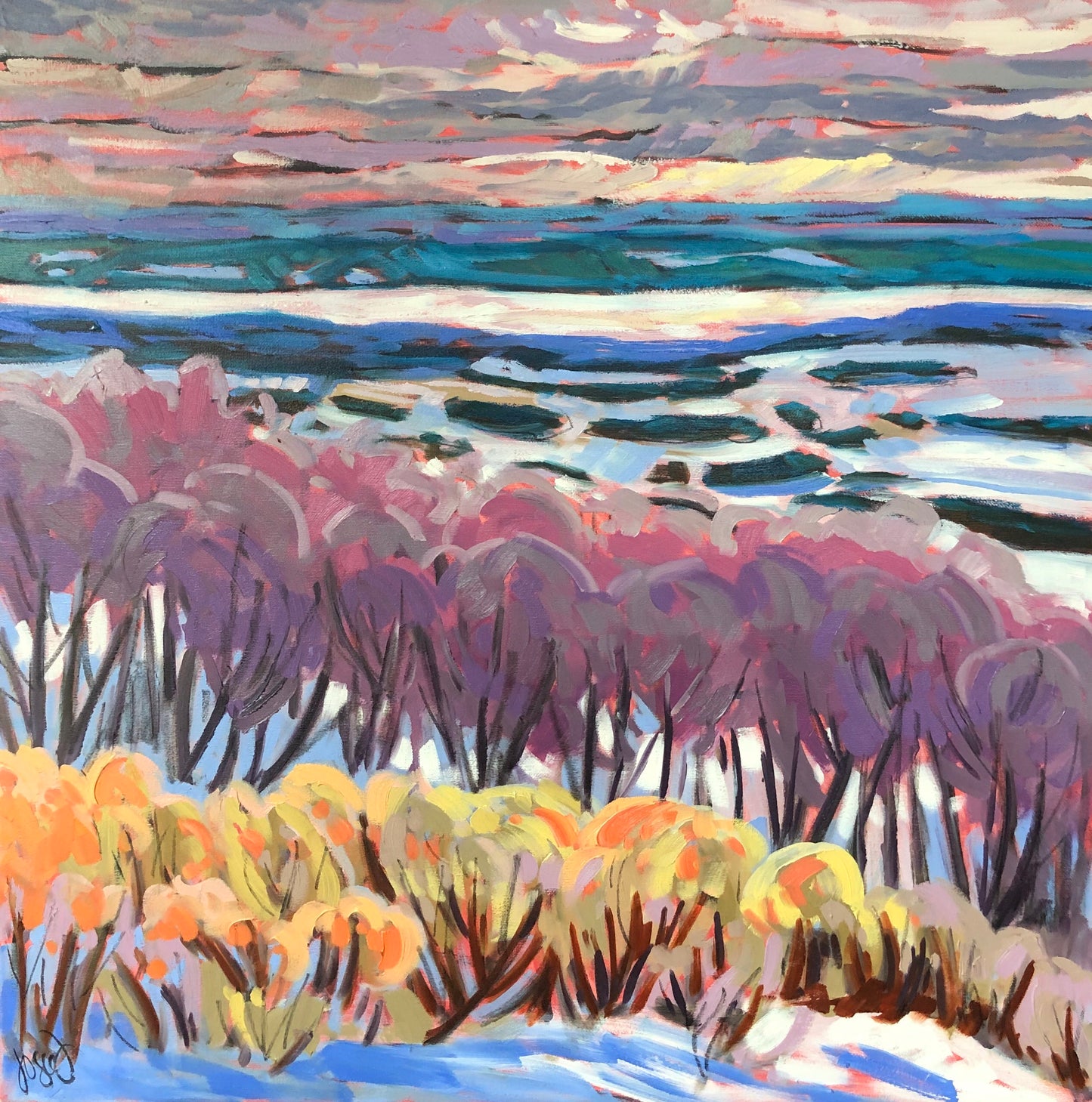Rivière des Outaouais au printemps, Gatineau park, Qc/ Odawe Zibi