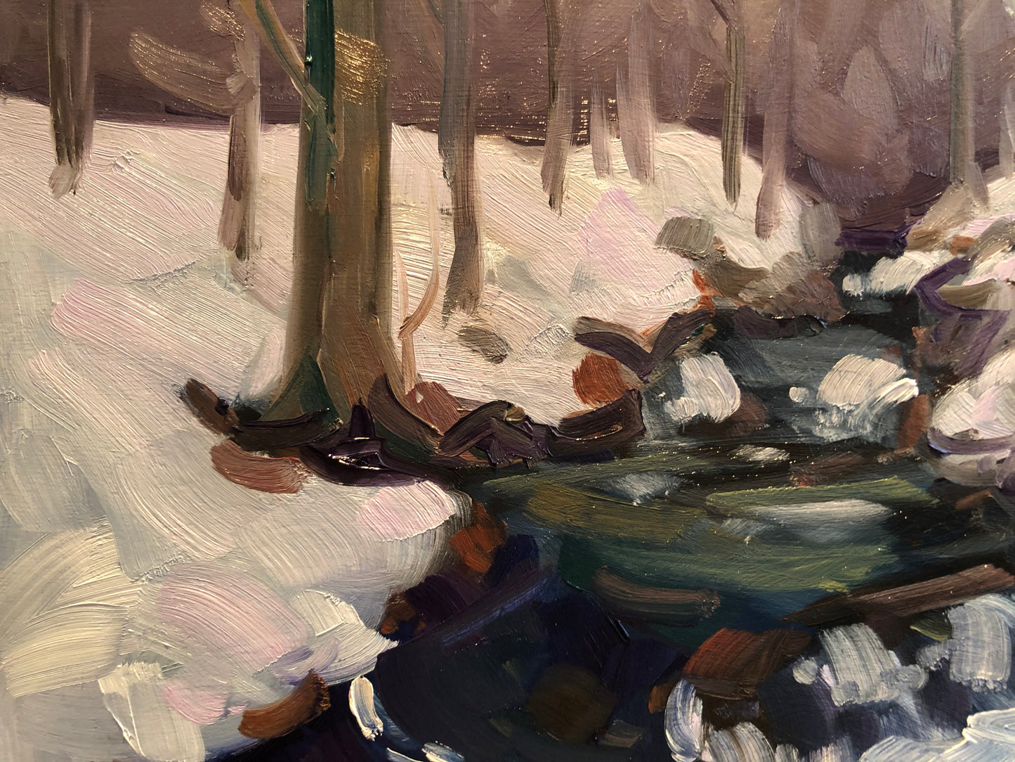 Printemps tardif, parc de la Gatineau #2