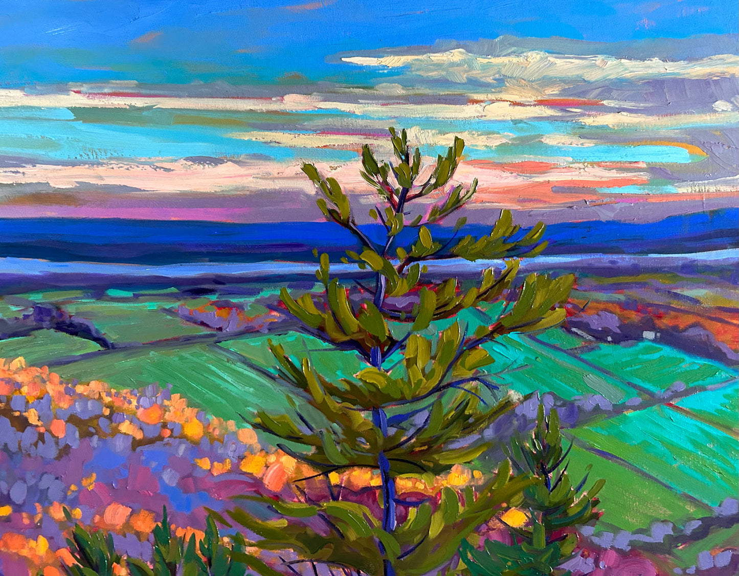 Belvédère sentier des loups, Parc de la Gatineau