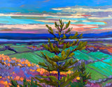 Belvédère sentier des loups, Parc de la Gatineau/Wolf trail lookout, Gatineau park